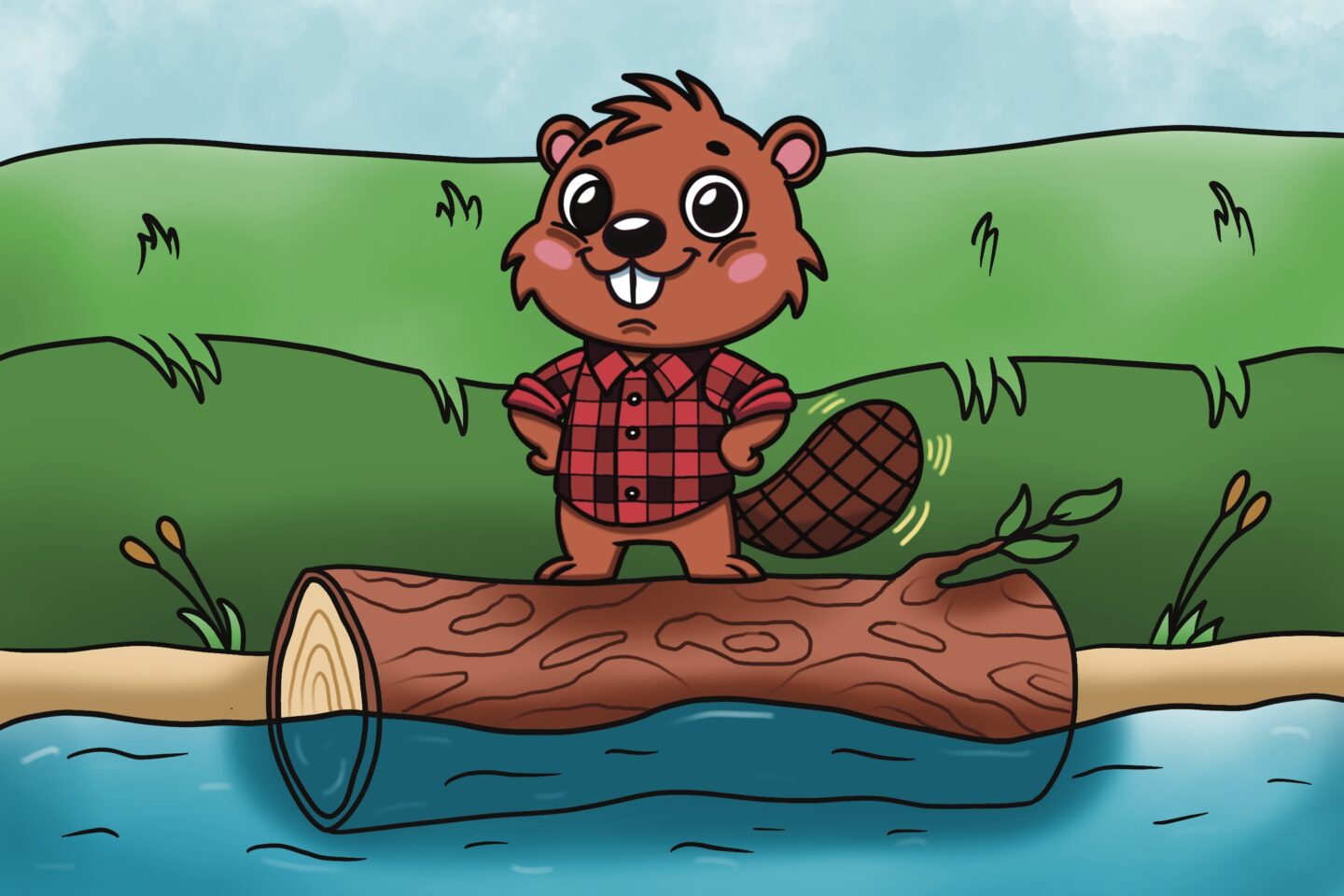 Building Beaver Dam